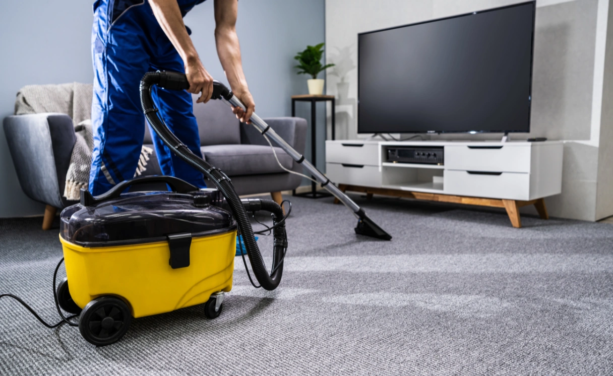 Extract Carpet Cleaning The Patch Contact Office